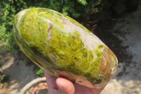 Polished Green Opal Standing Free Form x 1 From Antsirabe, Madagascar - Toprock Gemstones and Minerals 
