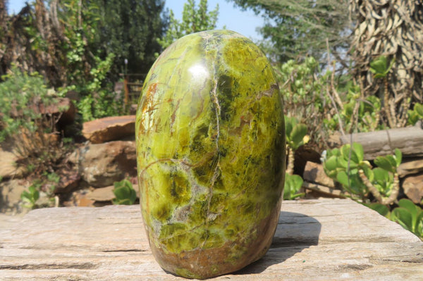 Polished Green Opal Standing Free Form x 1 From Antsirabe, Madagascar - Toprock Gemstones and Minerals 