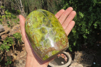 Polished Green Opal Standing Free Form x 1 From Antsirabe, Madagascar - Toprock Gemstones and Minerals 