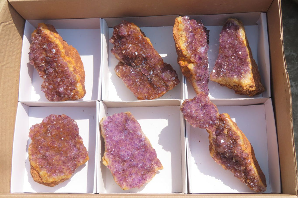 Natural Amethystos Amethyst Specimens x 7 From Kwaggafontein, South Africa - Toprock Gemstones and Minerals 