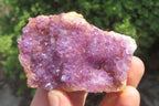 Natural Amethystos Amethyst Specimens x 7 From Kwaggafontein, South Africa - Toprock Gemstones and Minerals 