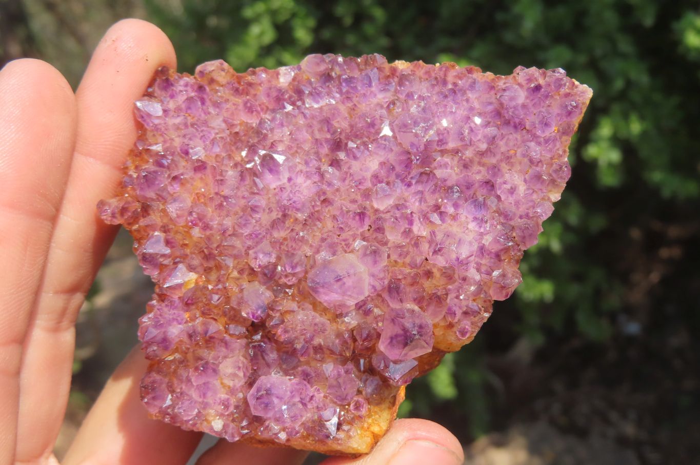 Natural Amethystos Amethyst Specimens x 7 From Kwaggafontein, South Africa - Toprock Gemstones and Minerals 