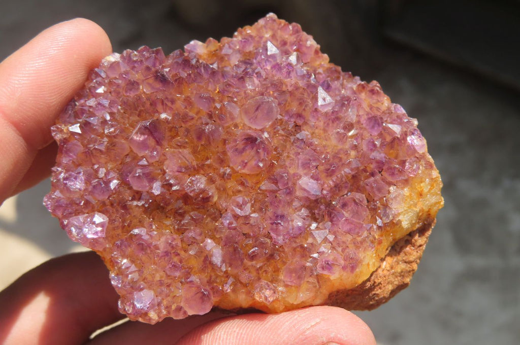 Natural Amethystos Amethyst Specimens x 7 From Kwaggafontein, South Africa - Toprock Gemstones and Minerals 