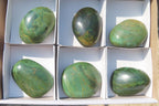 Polished Green Verdite Palm Stones x 6 From Zimbabwe - Toprock Gemstones and Minerals 