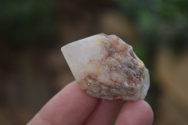 Natural Pineapple Candle Quartz Crystals x 63 From Antsirabe, Madagascar - Toprock Gemstones and Minerals 