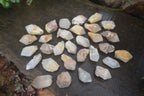 Natural Pineapple Candle Quartz Crystals x 63 From Antsirabe, Madagascar - Toprock Gemstones and Minerals 