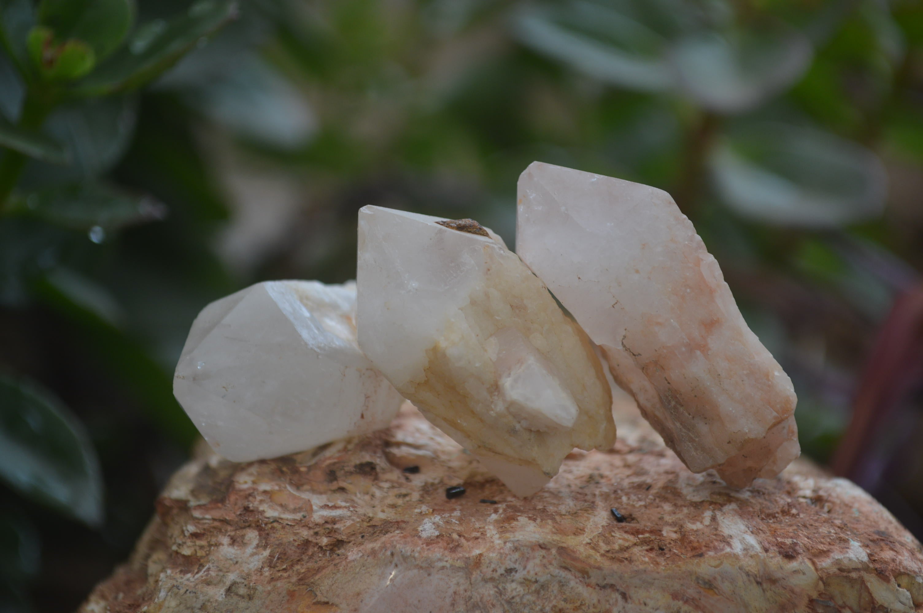 Natural Pineapple Candle Quartz Crystals x 63 From Antsirabe, Madagascar - Toprock Gemstones and Minerals 