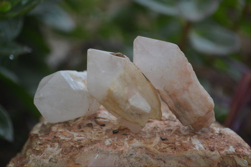 Natural Pineapple Candle Quartz Crystals x 63 From Antsirabe, Madagascar - Toprock Gemstones and Minerals 