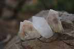 Natural Pineapple Candle Quartz Crystals x 63 From Antsirabe, Madagascar - Toprock Gemstones and Minerals 