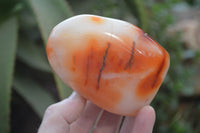 Polished Carnelian Standing Free Forms x 4 From Madagascar - Toprock Gemstones and Minerals 