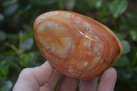 Polished Carnelian Standing Free Forms x 4 From Madagascar - Toprock Gemstones and Minerals 