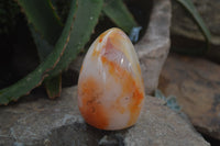 Polished Carnelian Standing Free Forms x 4 From Madagascar - Toprock Gemstones and Minerals 