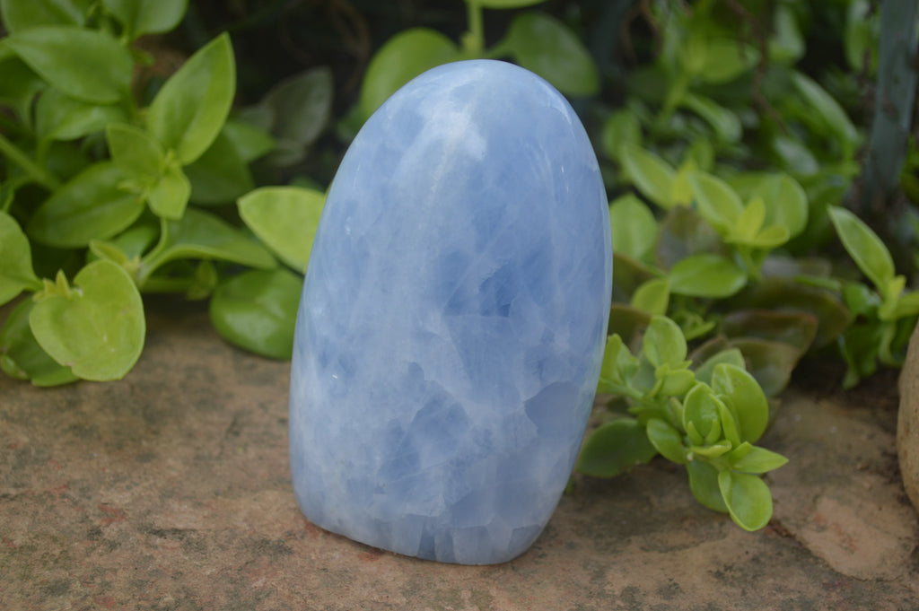 Polished Blue Calcite Standing Free Forms x 2 From Ihadilalana, Madagascar - Toprock Gemstones and Minerals 