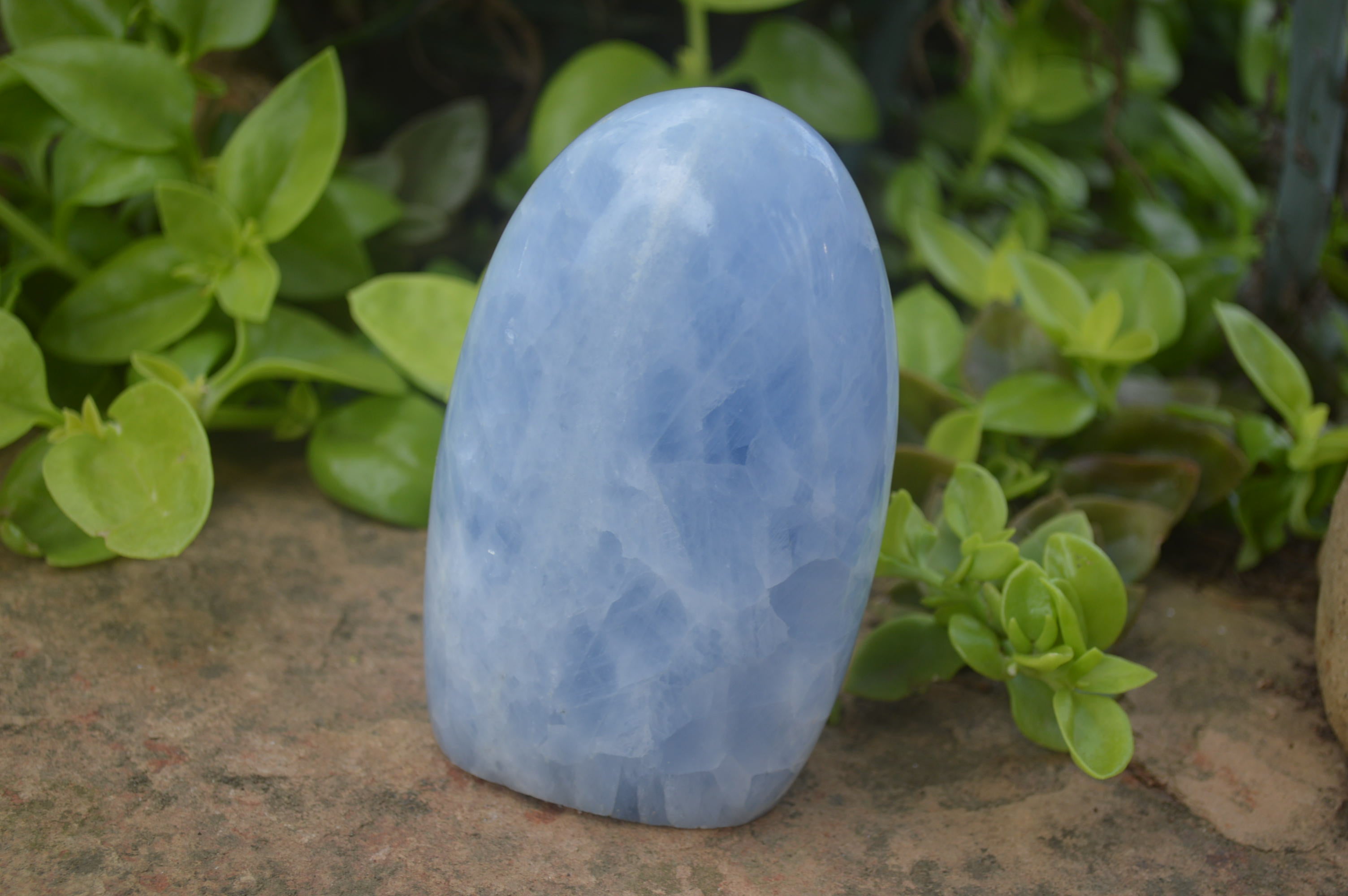 Polished Blue Calcite Standing Free Forms x 2 From Ihadilalana, Madagascar - Toprock Gemstones and Minerals 