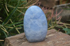 Polished Blue Calcite Standing Free Forms x 2 From Ihadilalana, Madagascar - Toprock Gemstones and Minerals 