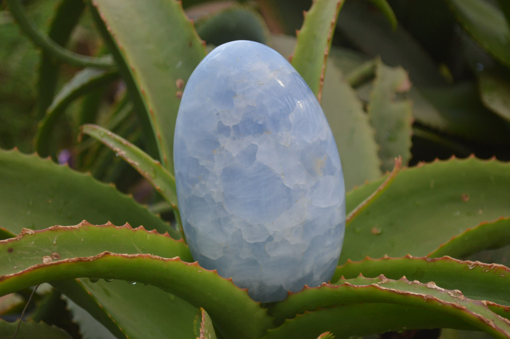 Polished Blue Calcite Standing Free Forms x 2 From Ihadilalana, Madagascar - Toprock Gemstones and Minerals 