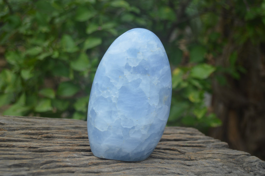 Polished Blue Calcite Standing Free Forms x 2 From Ihadilalana, Madagascar - Toprock Gemstones and Minerals 