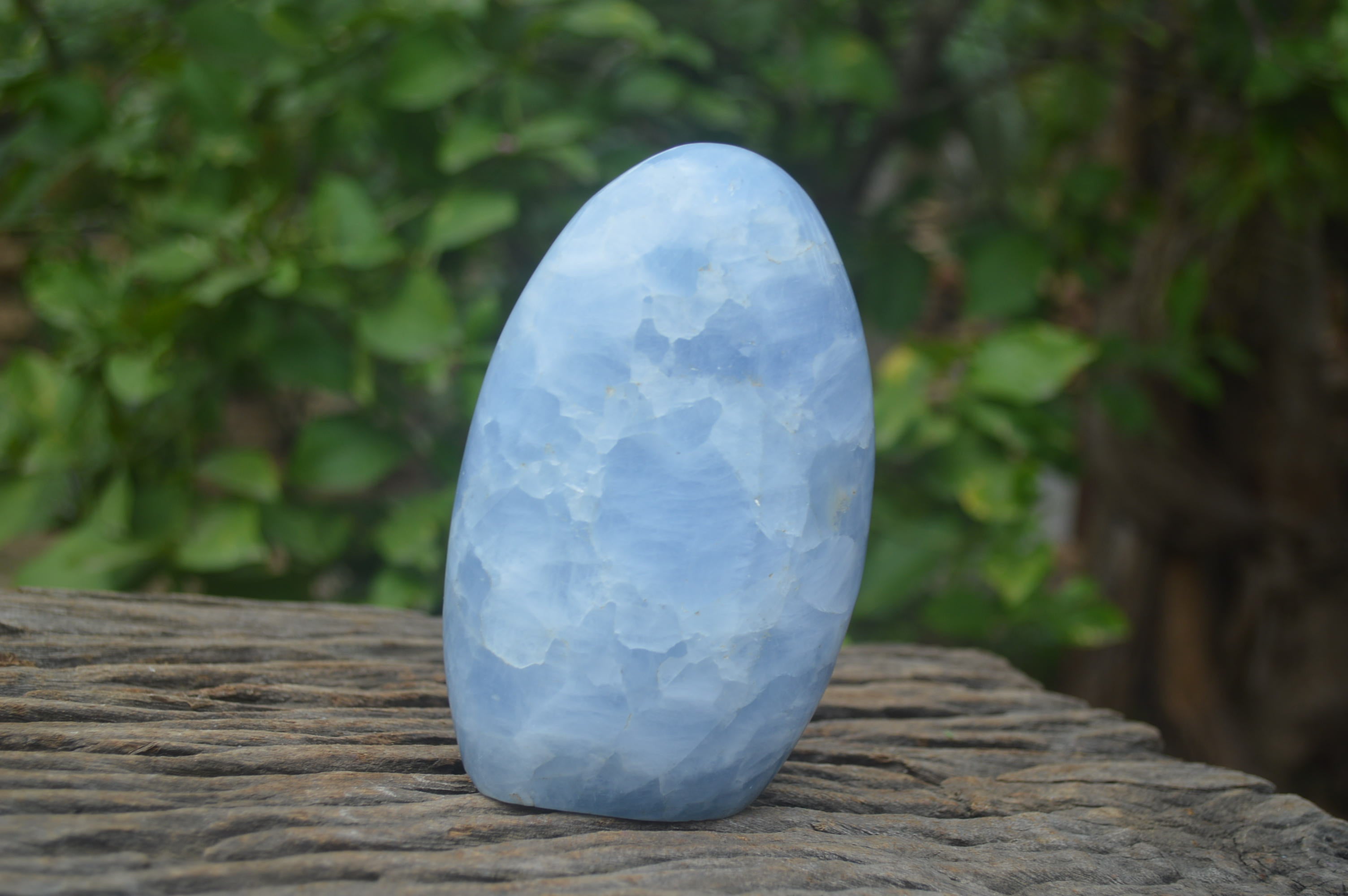 Polished Blue Calcite Standing Free Forms x 2 From Ihadilalana, Madagascar - Toprock Gemstones and Minerals 