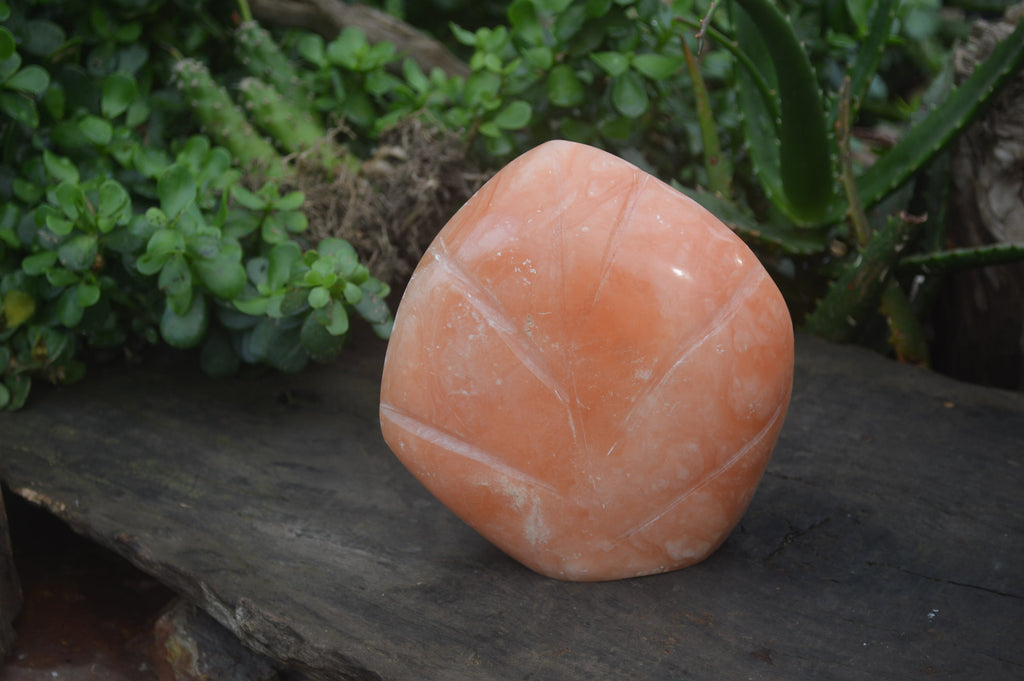 Polished Orange Twist Calcite Standing Free Form x 1 From Maevantanana, Madagascar - Toprock Gemstones and Minerals 