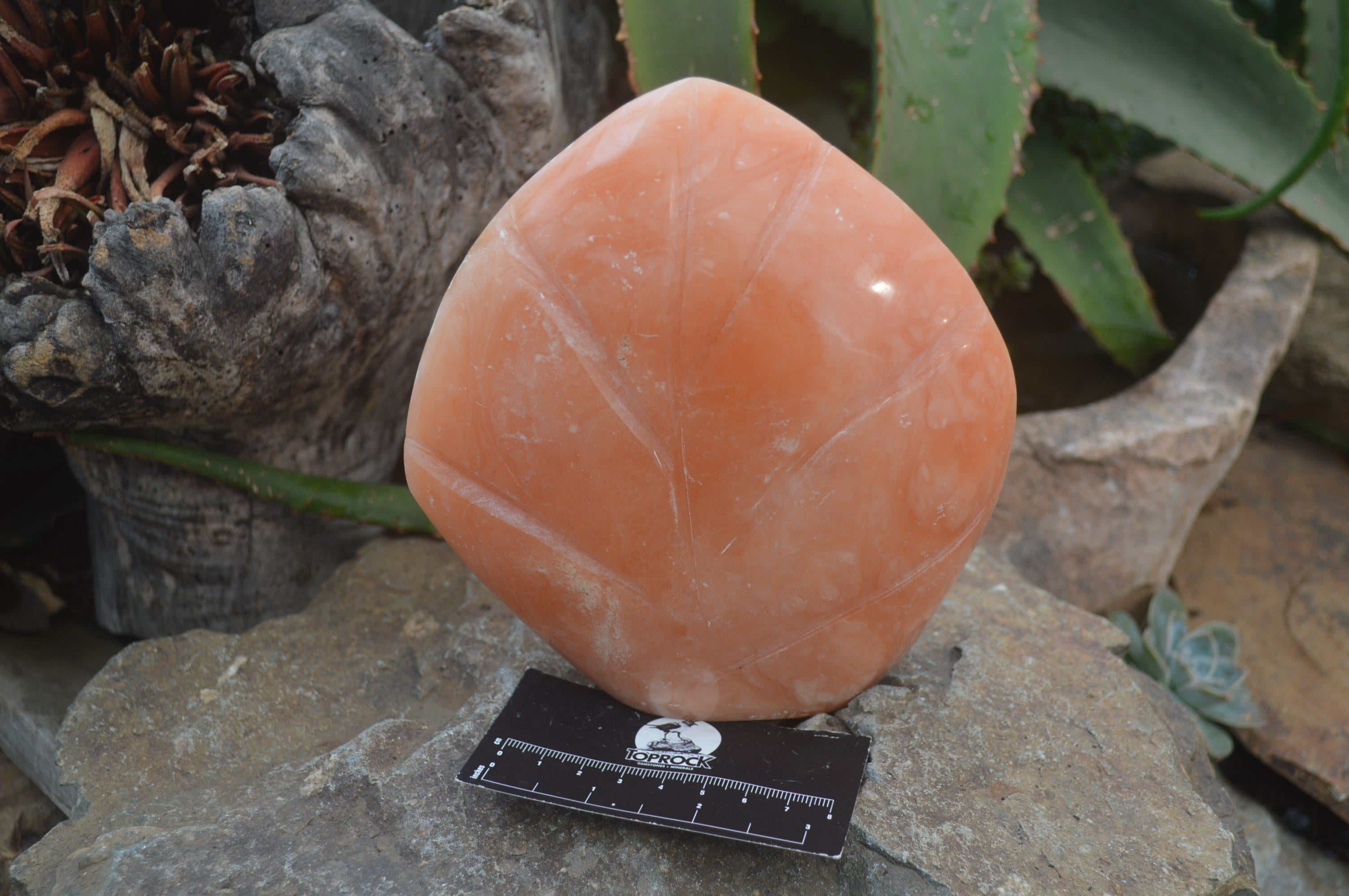 Polished Orange Twist Calcite Standing Free Form x 1 From Maevantanana, Madagascar - Toprock Gemstones and Minerals 