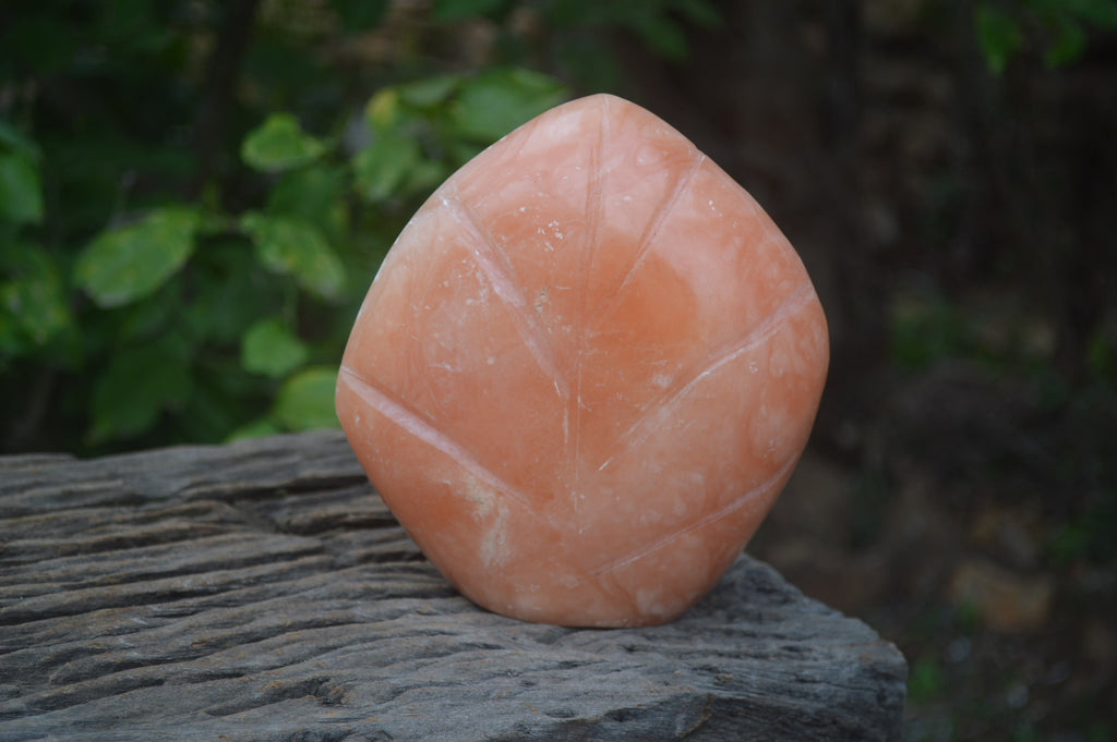 Polished Orange Twist Calcite Standing Free Form x 1 From Maevantanana, Madagascar - Toprock Gemstones and Minerals 