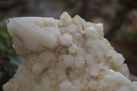 Natural Pineapple Candle Quartz Cluster x 1 From Antsirabe, Madagascar - Toprock Gemstones and Minerals 
