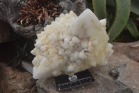 Natural Pineapple Candle Quartz Cluster x 1 From Antsirabe, Madagascar - Toprock Gemstones and Minerals 