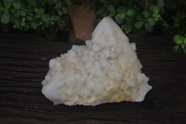 Natural Pineapple Candle Quartz Cluster x 1 From Antsirabe, Madagascar - Toprock Gemstones and Minerals 