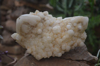 Natural Pineapple Candle Quartz Cluster x 1 From Antsirabe, Madagascar - Toprock Gemstones and Minerals 