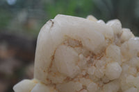 Natural Pineapple Candle Quartz Cluster x 1 From Antsirabe, Madagascar - Toprock Gemstones and Minerals 