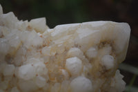 Natural Pineapple Candle Quartz Cluster x 1 From Antsirabe, Madagascar - Toprock Gemstones and Minerals 