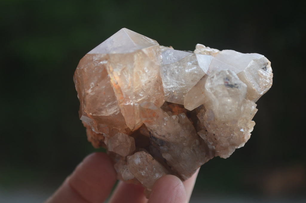 Natural Smokey Phantom Quartz Clusters x 6 From Luena, Congo - Toprock Gemstones and Minerals 