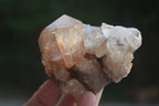 Natural Smokey Phantom Quartz Clusters x 6 From Luena, Congo - Toprock Gemstones and Minerals 