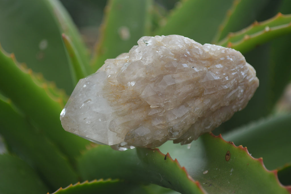 Natural Smokey Phantom Quartz Clusters x 6 From Luena, Congo - Toprock Gemstones and Minerals 