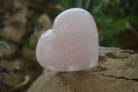 Polished Rose Quartz Gemstone Hearts x 2 From Madagascar