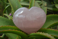 Polished Rose Quartz Gemstone Hearts x 2 From Madagascar