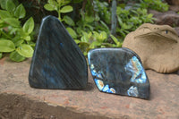 Polished Labradorite Standing Free Forms x 2 From Madagascar - Toprock Gemstones and Minerals 
