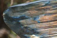 Polished Labradorite Standing Free Forms x 2 From Madagascar - Toprock Gemstones and Minerals 