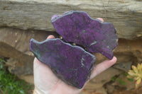 Polished On One Side Metallic Purpurite x 3 From Namibia - Toprock Gemstones and Minerals 