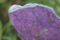Polished On One Side Metallic Purpurite x 3 From Namibia - Toprock Gemstones and Minerals 