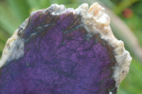Polished On One Side Metallic Purpurite x 3 From Namibia - Toprock Gemstones and Minerals 