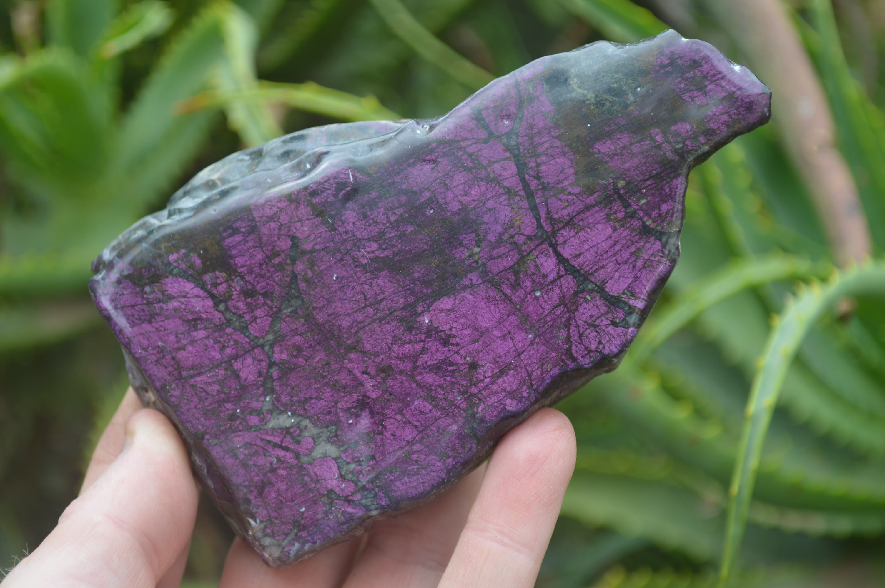 Polished On One Side Metallic Purpurite x 3 From Namibia - Toprock Gemstones and Minerals 