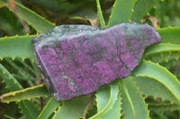 Polished On One Side Metallic Purpurite x 3 From Namibia - Toprock Gemstones and Minerals 