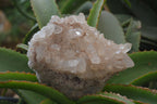 Natural Quartz Clusters x 3 From Madagascar - Toprock Gemstones and Minerals 