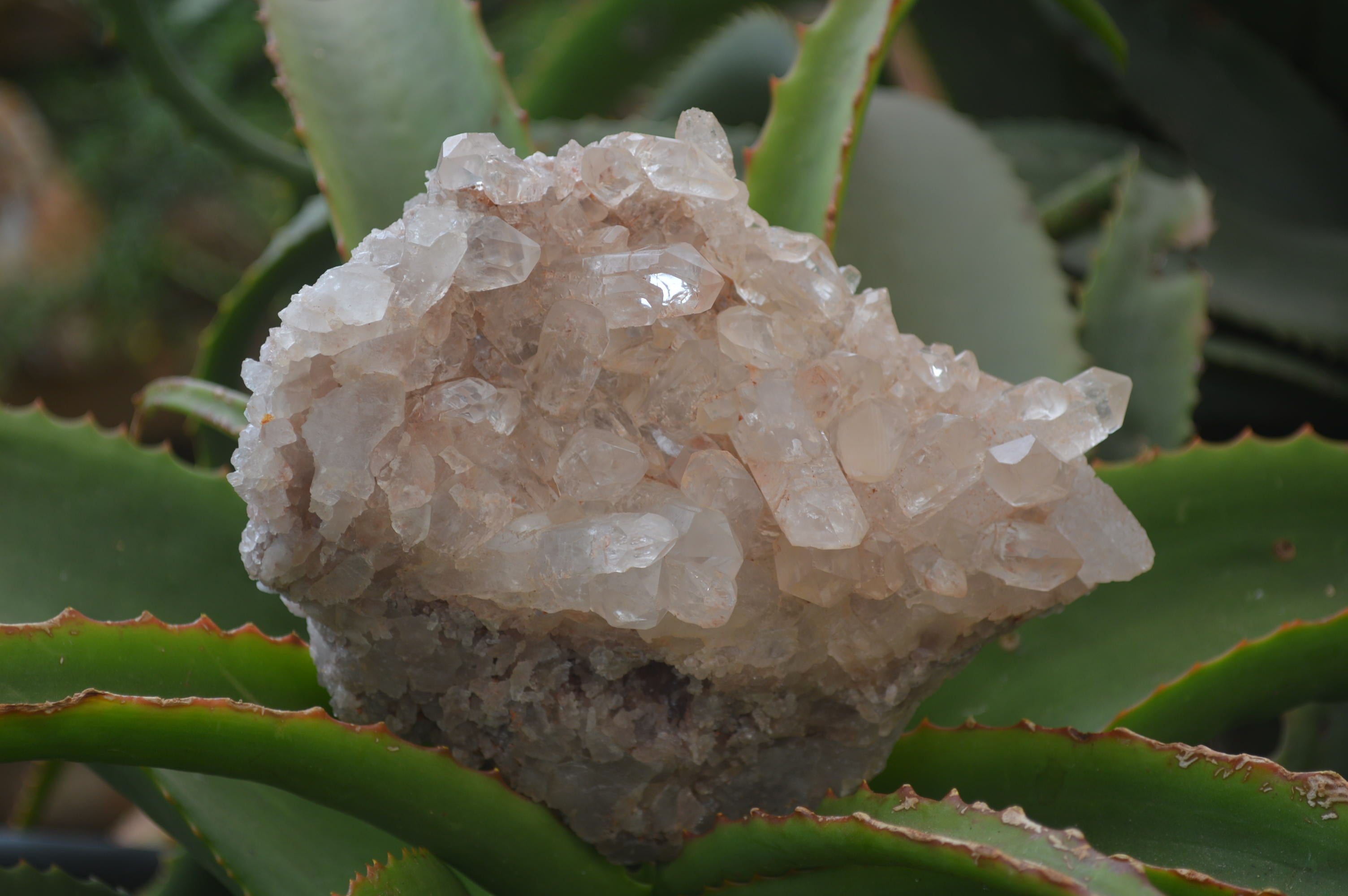 Natural Quartz Clusters x 3 From Madagascar - Toprock Gemstones and Minerals 