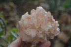 Natural Quartz Clusters x 3 From Madagascar - Toprock Gemstones and Minerals 