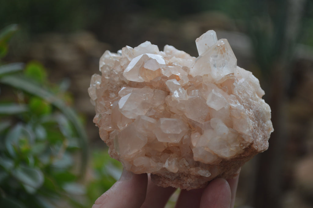 Natural Quartz Clusters x 3 From Madagascar - Toprock Gemstones and Minerals 