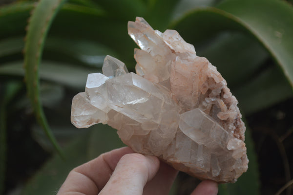 Natural Quartz Clusters x 3 From Madagascar - Toprock Gemstones and Minerals 