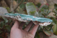 Polished On One Side Emerald Mtorolite x 1 From Mutorashanga, Zimbabwe - Toprock Gemstones and Minerals 