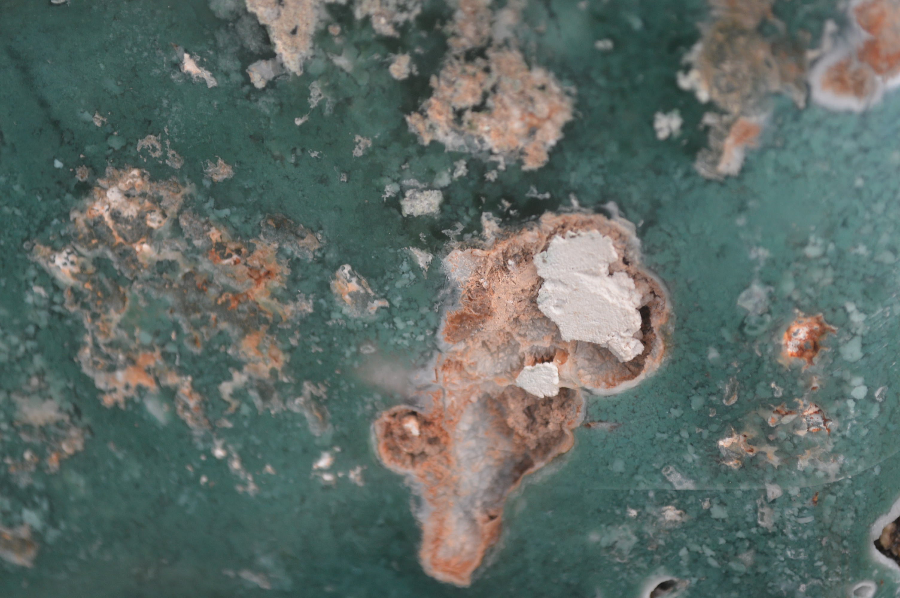 Polished On One Side Emerald Mtorolite x 1 From Mutorashanga, Zimbabwe - Toprock Gemstones and Minerals 